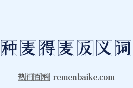 种麦得麦反义词是什么意思的图片